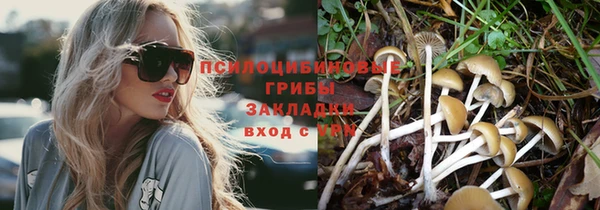 трава Ступино