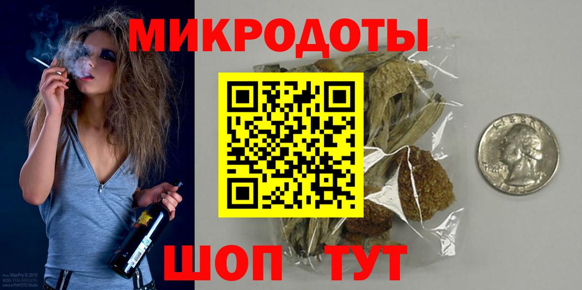 Галлюциногенные грибы Psilocybe Тихвин