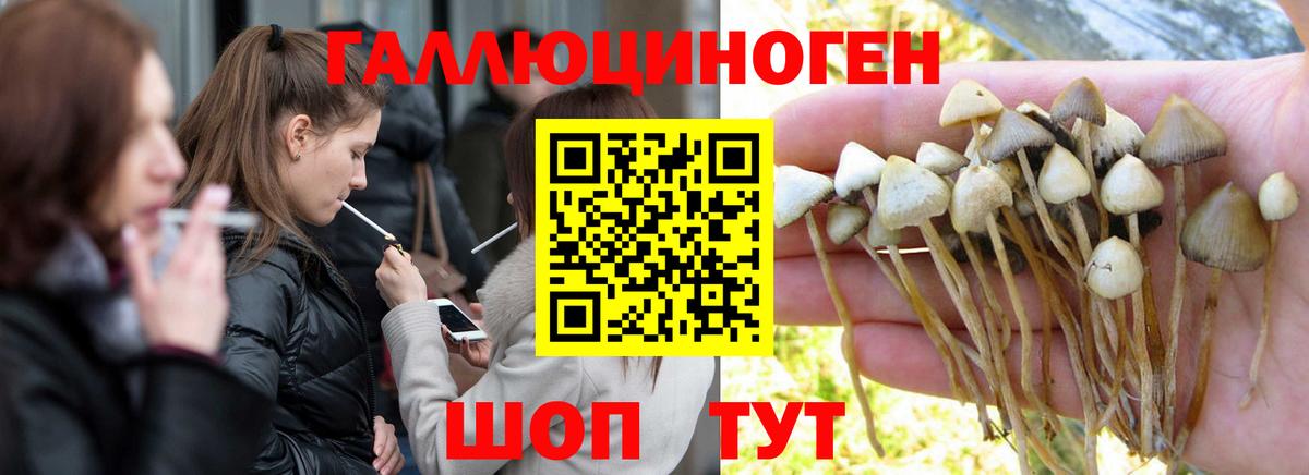 Псилоцибиновые грибы Psilocybine cubensis  Вход с VPN  Тихвин  Галлюциногенные грибы MAGIC MUSHROOMS 